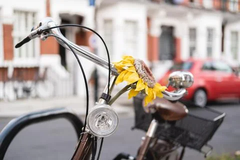 Horizontal close-up of a bicycle handlebars with a yellow sunflower flower... Stock Photos