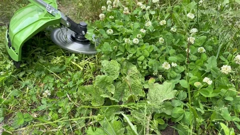 Horizontal close up of electric brush cutter cutting grass and weeds Stock Footage 336561154