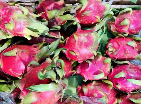 Horizontal close-up of fresh dragon fruit in the tropical fruit market. Stock Photos