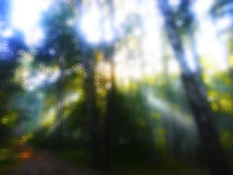 Horizontal dramatic sun rays in forest bokeh background 스톡 일러스트