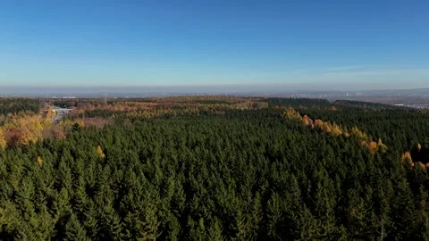 Horizontal Drone Flight Over Colorful Autumn Forest Stock Footage 320904683