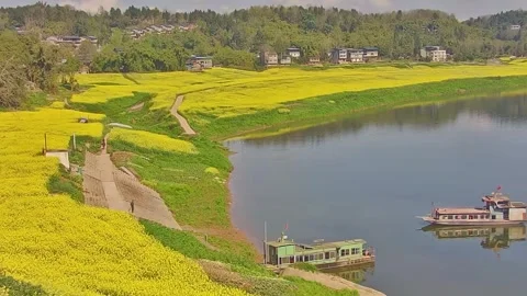 Horizontal Drone View of a Chinese Ferry Boat Approaching Riverbank through Stock Footage 331685998