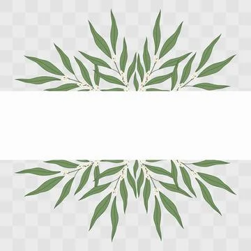 Horizontal frame border of Olive twigs Minimalist Flat botanical greenery Stock Illustration