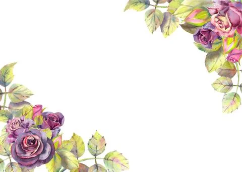 Horizontal frame with dark rose flowers. Compositions for the design of greet Stock Illustration