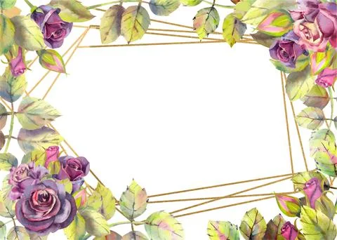 Horizontal frame with dark rose flowers. Compositions for the design of greet Illustrazione stock