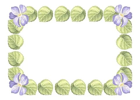 Horizontal frame from wild violets with green leaves. Isolated hand drawn Stock Illustration