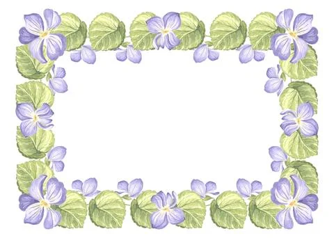 Horizontal frame from wild violets with green leaves. Isolated hand drawn Illustrazione stock