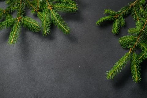 Horizontal Gray background with Live Spruce Branches spread out around edges. Stock Photos