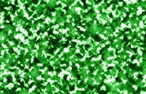 Horizontal green bump mapped navigation map texture background 스톡 사진