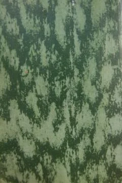 Horizontal green leaf texture for pattern and background Stock Photos