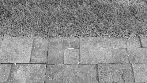 A horizontal high angle perspective captures a clean divider split between .. Stock Photos