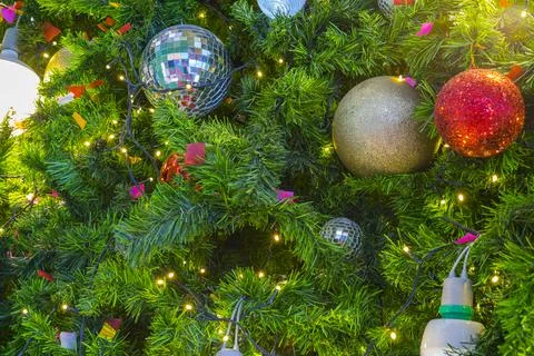 Horizontal image close up and selective focus red wrinkle Cristmas ball hangi Stock Photos