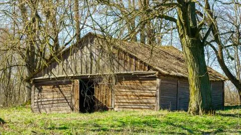 Horizontal image of an old rustic abandoned house and trees. Countryside conc Foto stock