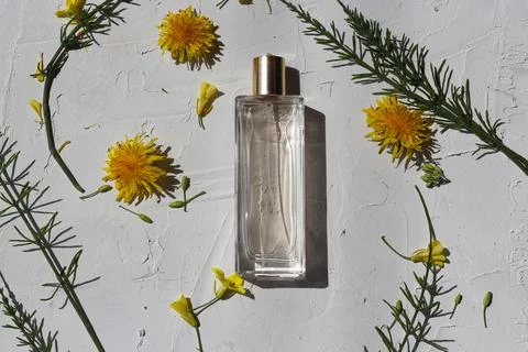 Horizontal image of a perfume bottle on a white textured background Photos