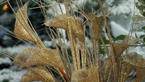 Horizontal, Indoors, Day, 10 Seconds Or Greater, Extreme Close-up, Lockdown, Stock-Footage 95864560