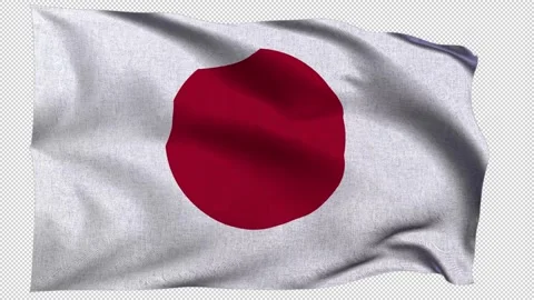 Horizontal Japan Flag Stock Footage 340400461