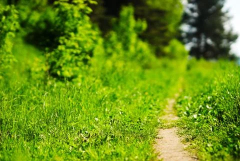 Horizontal landscape background 스톡 사진