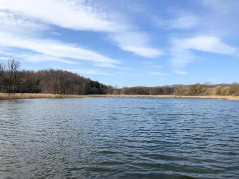 Horizontal landscape view of a lake with forest and reed bed under a blue sky Stock Photos