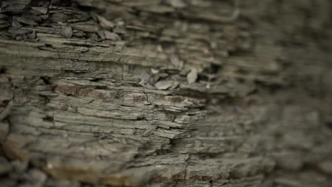 Horizontal layers gray-brown rock of thin flattened shape with small particles Stock Footage 142284367