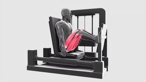 Horizontal Leg Press Stock Footage 155677950