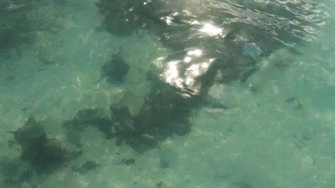 Horizontal look down to the shallow ocean sea salt blue turquoise lagoon with ri Stock-Footage 245444152