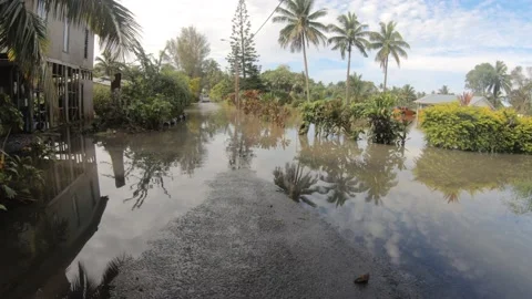 Horizontal look up still view at flooded backroad in tropical Pacific Cook Islan Stock Footage 235319062