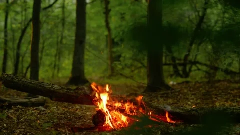 Horizontal Loop of Campfire in Woodland 库存影片 342505193