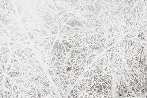Horizontal macro of a delicate abstract pattern created by tangled thin whi.. 写真素材