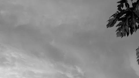 A horizontal monochrome perspective captures dense overcast storm clouds fi.. Stock Photos