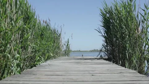 Horizontal motion of an empty wooden pier Stock Footage 144186200