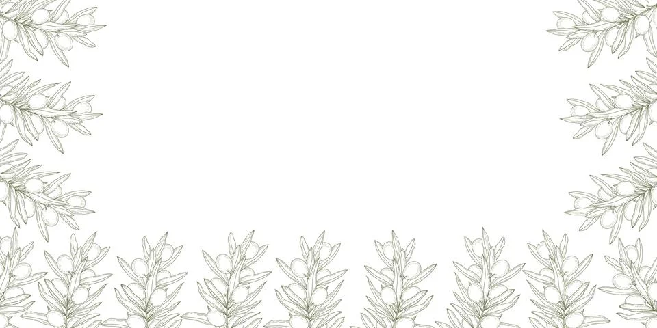 Horizontal olive branch frame with blank copy space in vintage monochrome hand イラスト素材