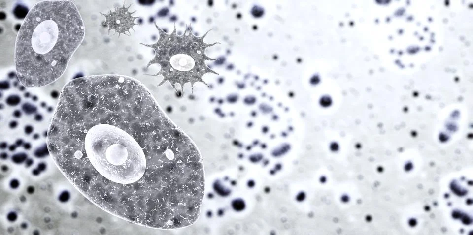 Horizontal or vertical banner with pathogenic bacterias and viruses. Amoeba.. Stock Illustration