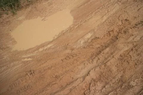 Horizontal overhead medium shot of muddy jungle road with small puddle amid v Stock Photos