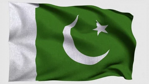 Horizontal Pakistan Flag Stock Footage 340148330