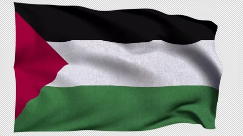Horizontal Palestine Flag Stock Footage 340383711