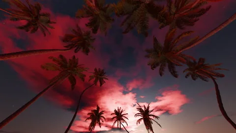 Horizontal palm circle around pink dusk clouds, static camera loop Stock Footage 342055920