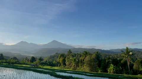 Horizontal pan of beautiful Bali rice fields and mountains at sunrise Stock Footage 337805655