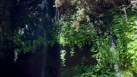 Horizontal Pan of Delicate Tropical Waterfall on Lush Green Cliff in Bali Stock Footage 339449081