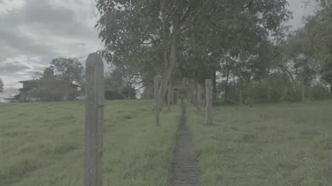 Horizontal pan path, trees and grassy space 動画素材 220521082