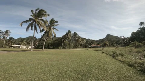 Horizontal pan right to left view in large trimmed grass green spacious yard Stock Footage 233674654