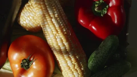 Horizontal pan showing assorted summer harvest vegetables display 库存影片 343403429