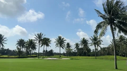 Horizontal Pan of Tropical Palm Trees and Resort Landscape in Sanya Stock-Footage 330713286