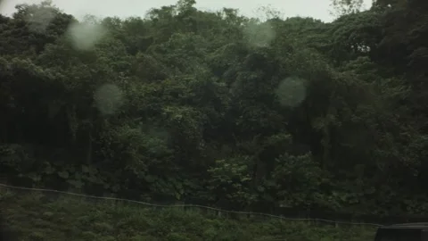 Horizontal pane circle view of grand dark green hill mountain with various flour Stock Footage 236238505