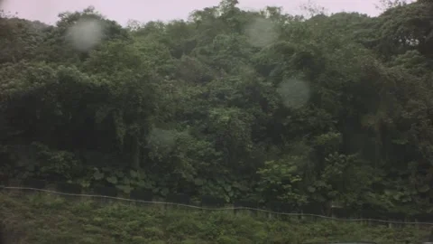 Horizontal pane circle view of grand dark green hill mountain with various flour Stock Footage 236240107