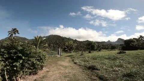 Horizontal pane right to left view at a backroad in tropical Pacific Cook Island Stock-Footage 233675272