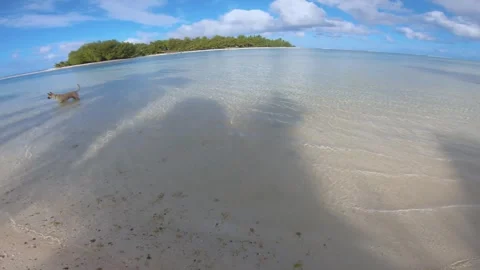 Horizontal pane view of beach sandy side look out to islets in calm relax turquo Stock Footage 253461178