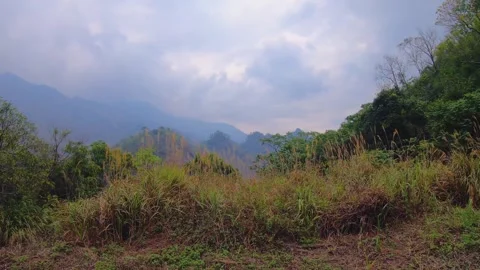 Horizontal pane view to landscape of nature on road side look out to mountains t Stock Footage 266502732
