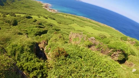 Horizontal pane view left to right to nature green valley with green bushes and  Stock-Footage 279140490