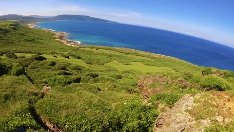 Horizontal pane view left to right to nature green valley with green bushes and  Stock Footage 279140751