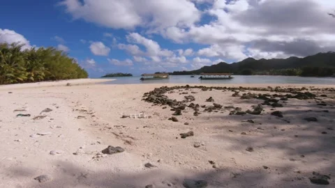 Horizontal pane view of shallow calm lagoon from white sandy beach with trees lo Stock Footage 250402091